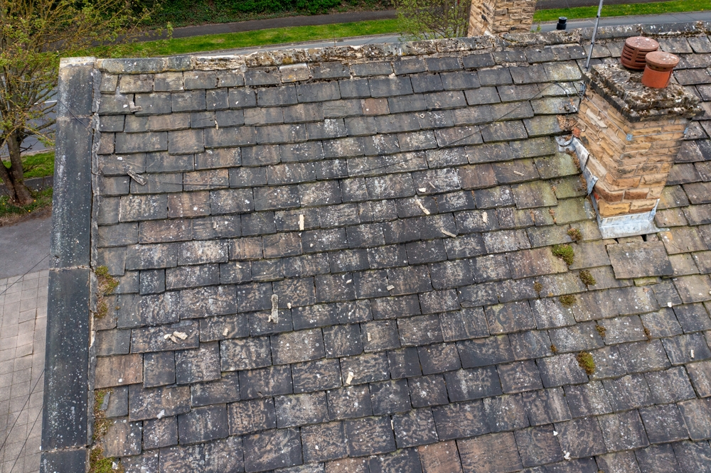 Photo of a roof in need of repair.